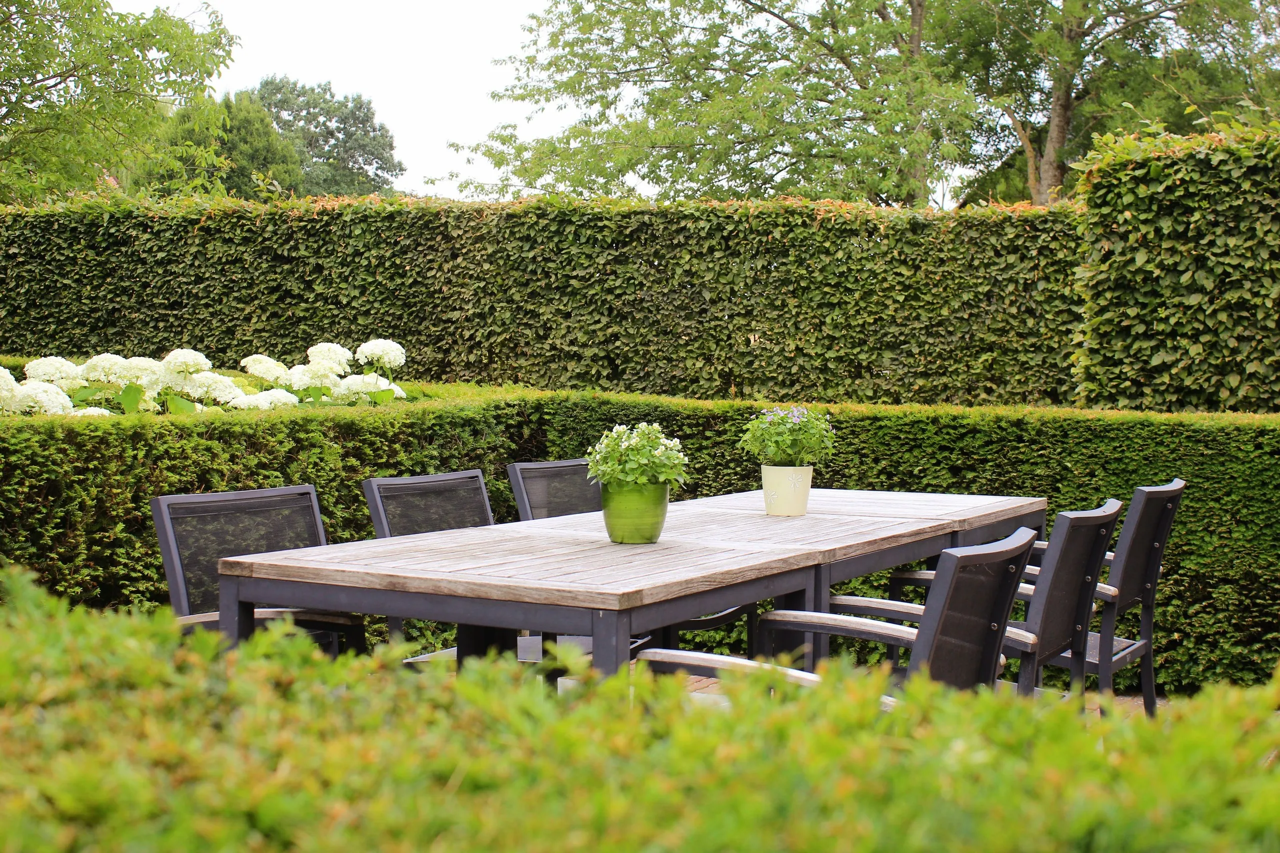 Terras met grote tuintafel, omringd door hagen